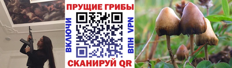 Галлюциногенные грибы мицелий  это наркотические препараты  Калачинск 