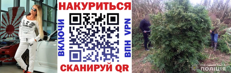 MEGA маркетплейс  Калачинск  Марихуана ГИДРОПОН  сколько стоит 